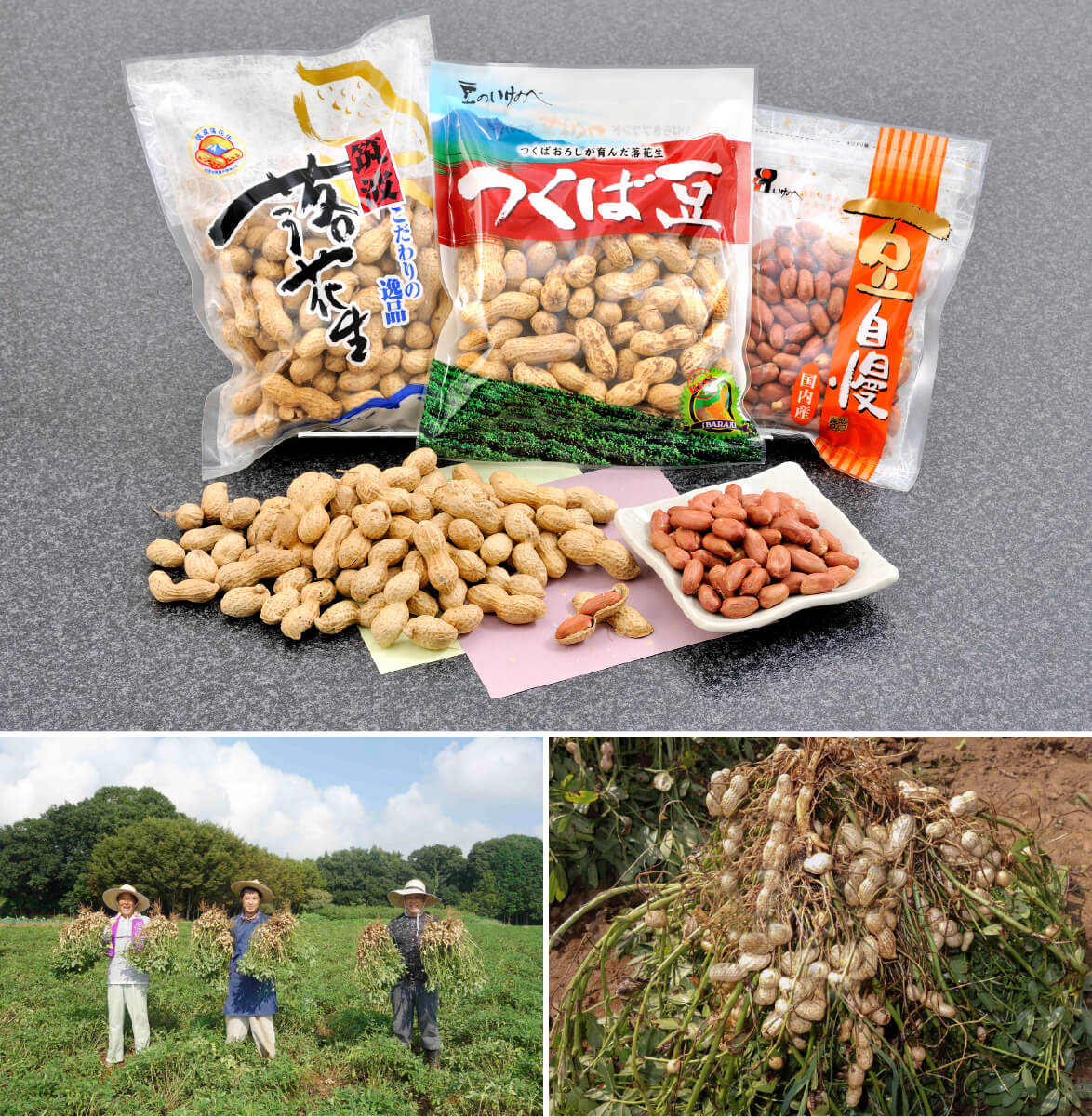 安心でおいしい落花生を。地域に長年愛される理由があります。