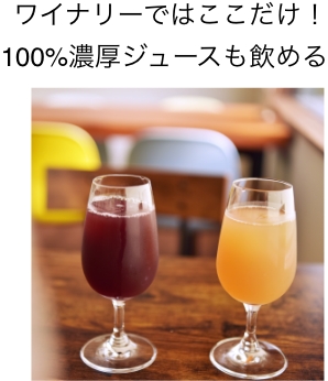 ワイナリーではここだけ!100%濃厚ジュースも飲める