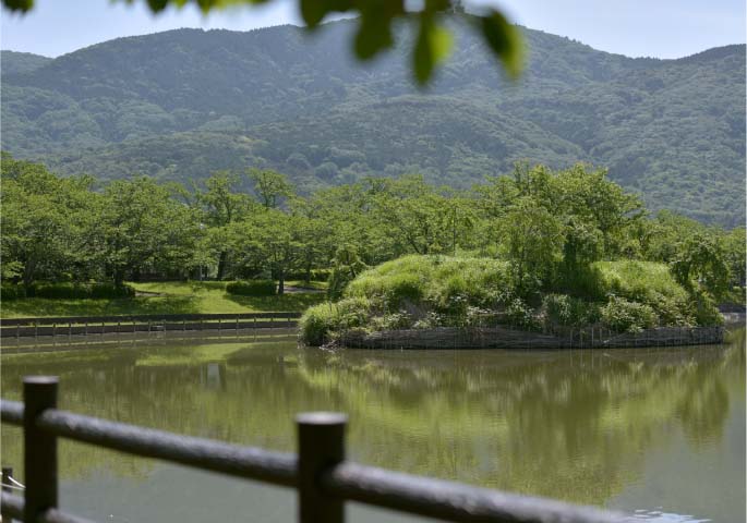 大池公園