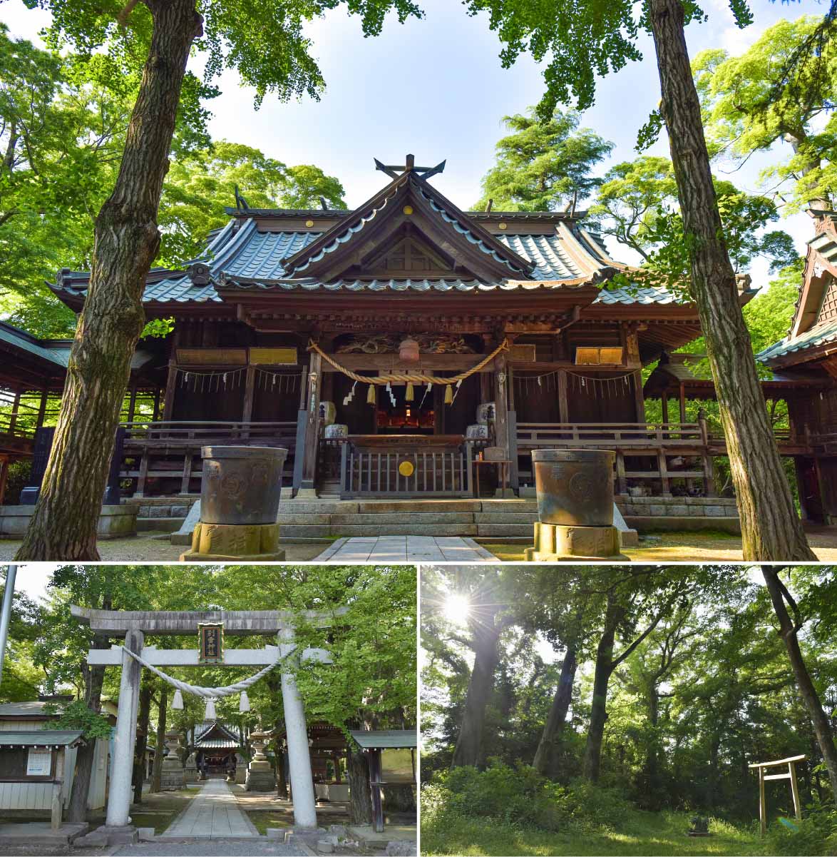 小貝川のほとり、古木の緑が映える神秘的な関東三雷神