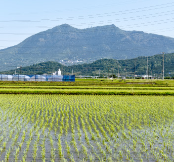 筑波山