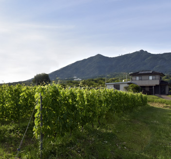 筑波山麓